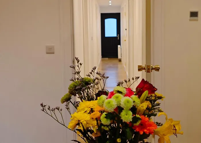 Accommodatie bij particulieren Paradisus Galway