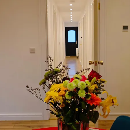 Quarto em Acomodações Particulares Paradisus Galway